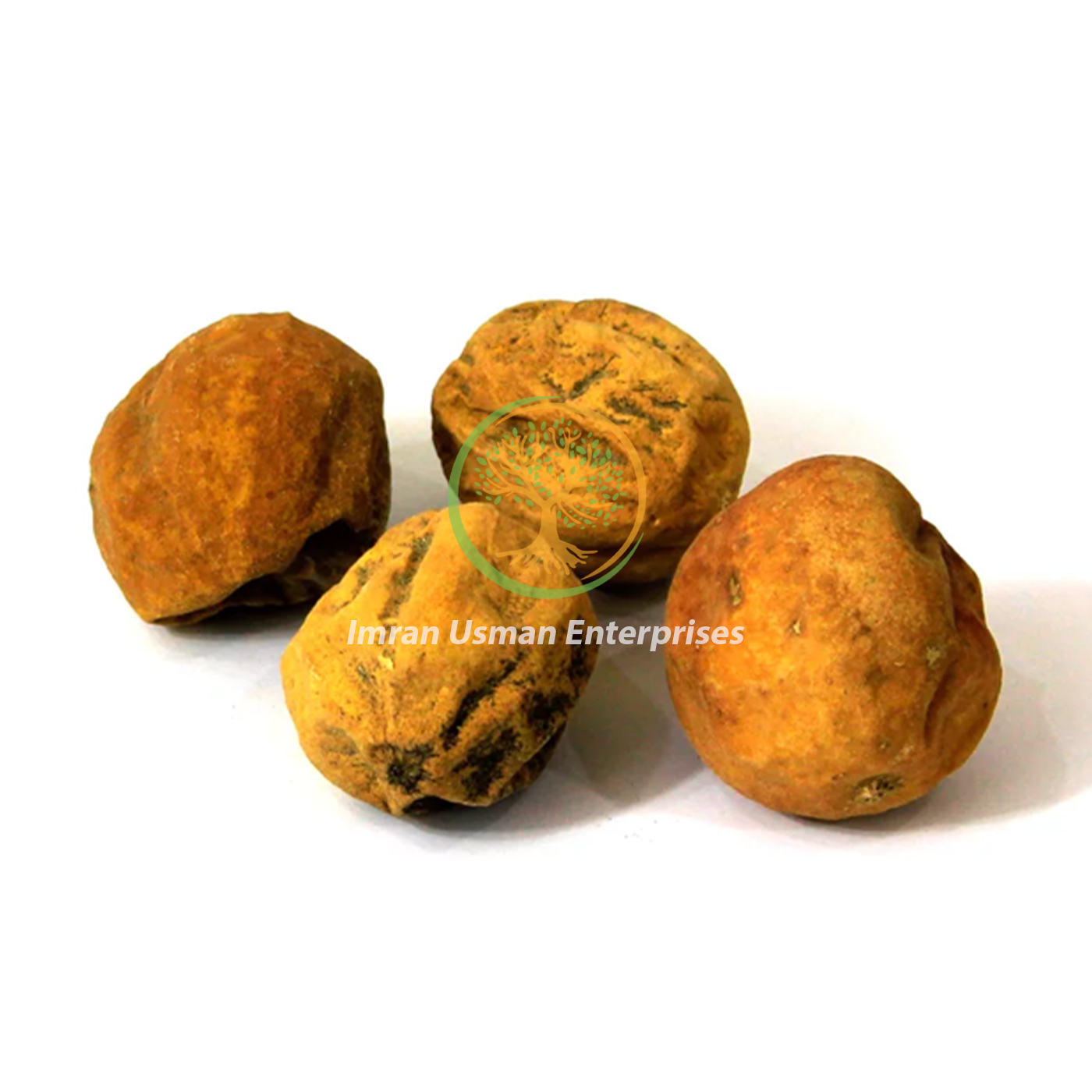 Citrullus colocynthis