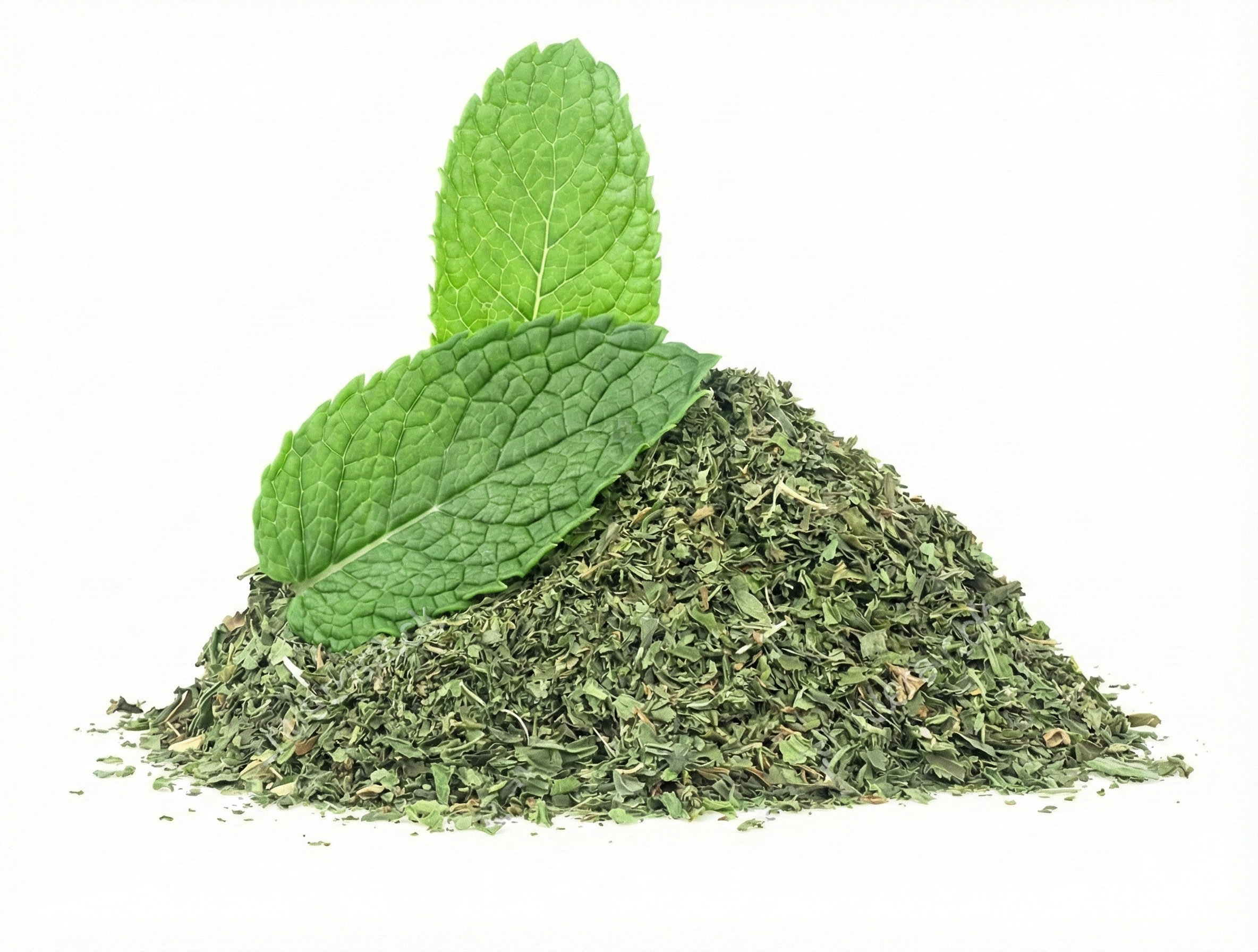 Mentha piperita