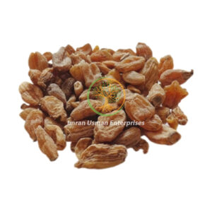 Dactylorhiza hatagirea