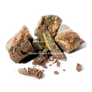 Convolvulus scammonia