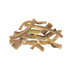 Operculina turpethum