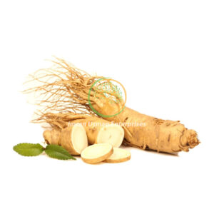 Panax ginseng