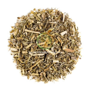 Artemisia absinthium