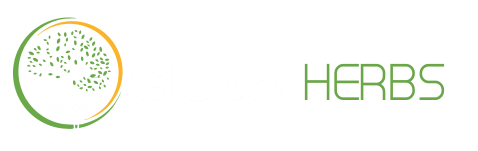 global logo1